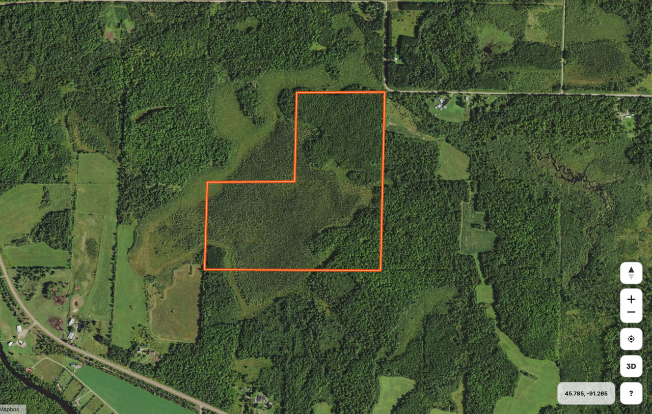 Sawyer County, Wisconsin 120 Acres For Sale(SALE PENDING) LandGuys