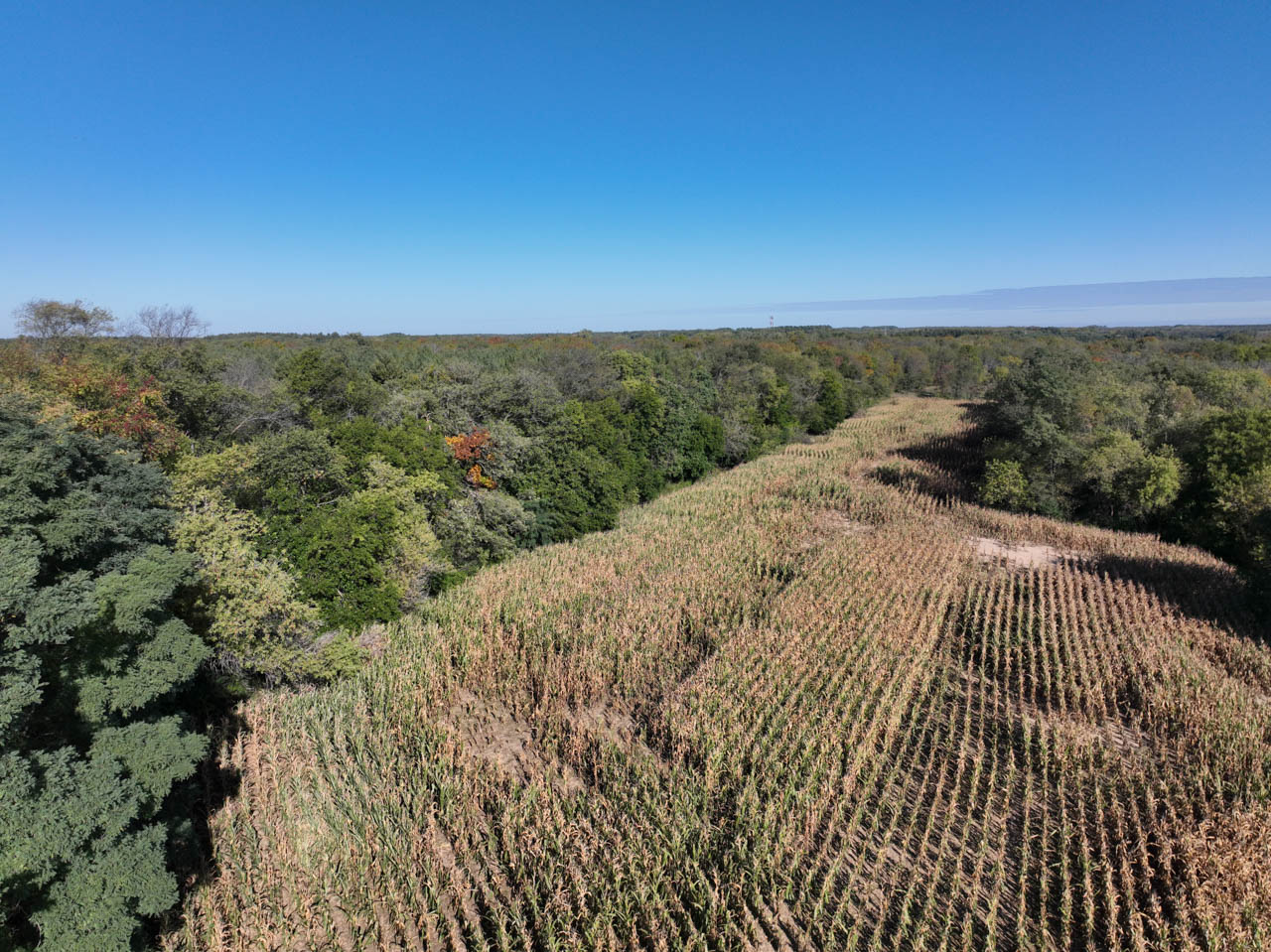 Walworth County, Wisconsin 65 Acres For Sale(SALE PENDING) LandGuys