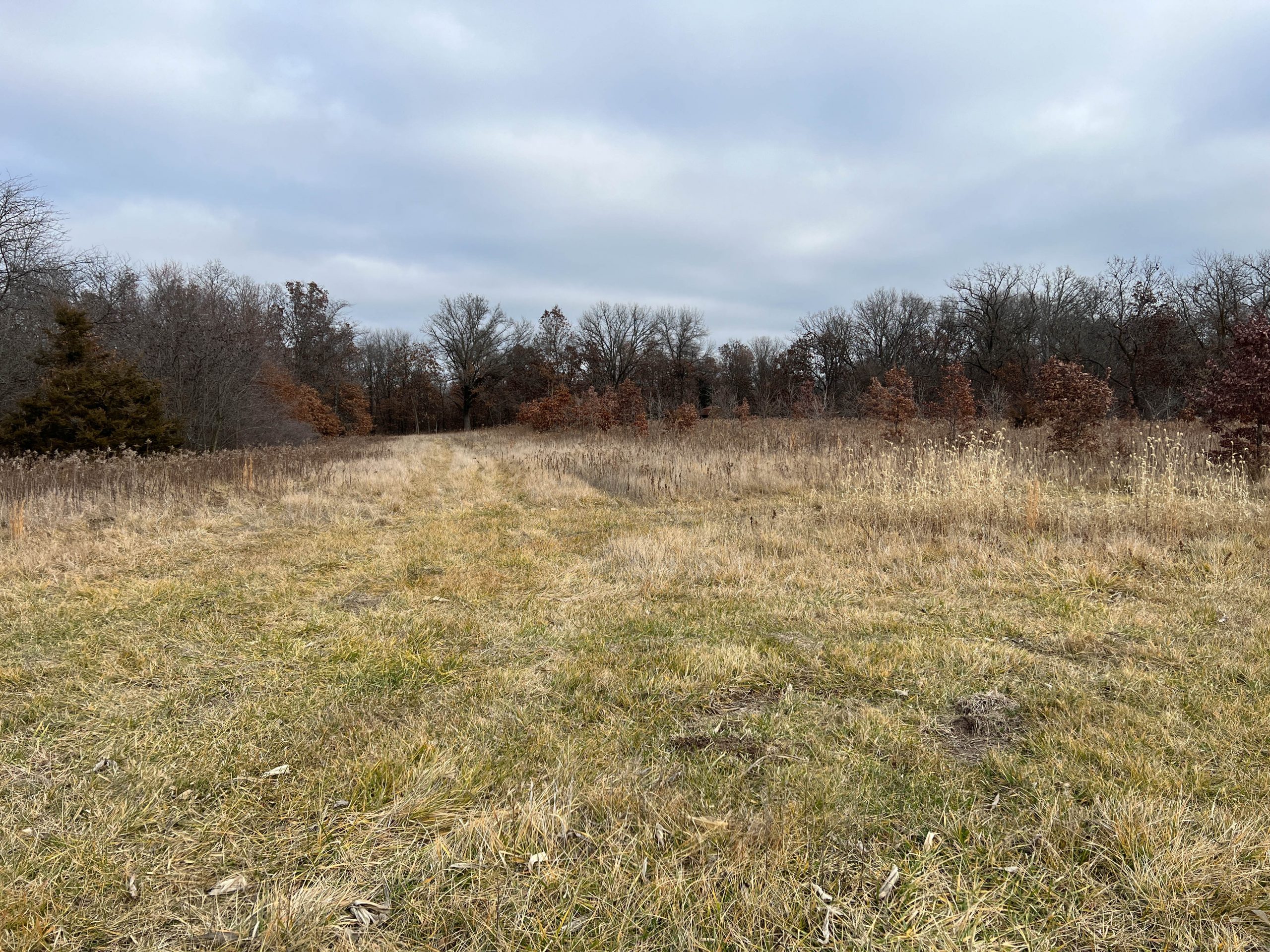 Hancock County, Illinois 40 Acres For Sale(SOLD) - LandGuys