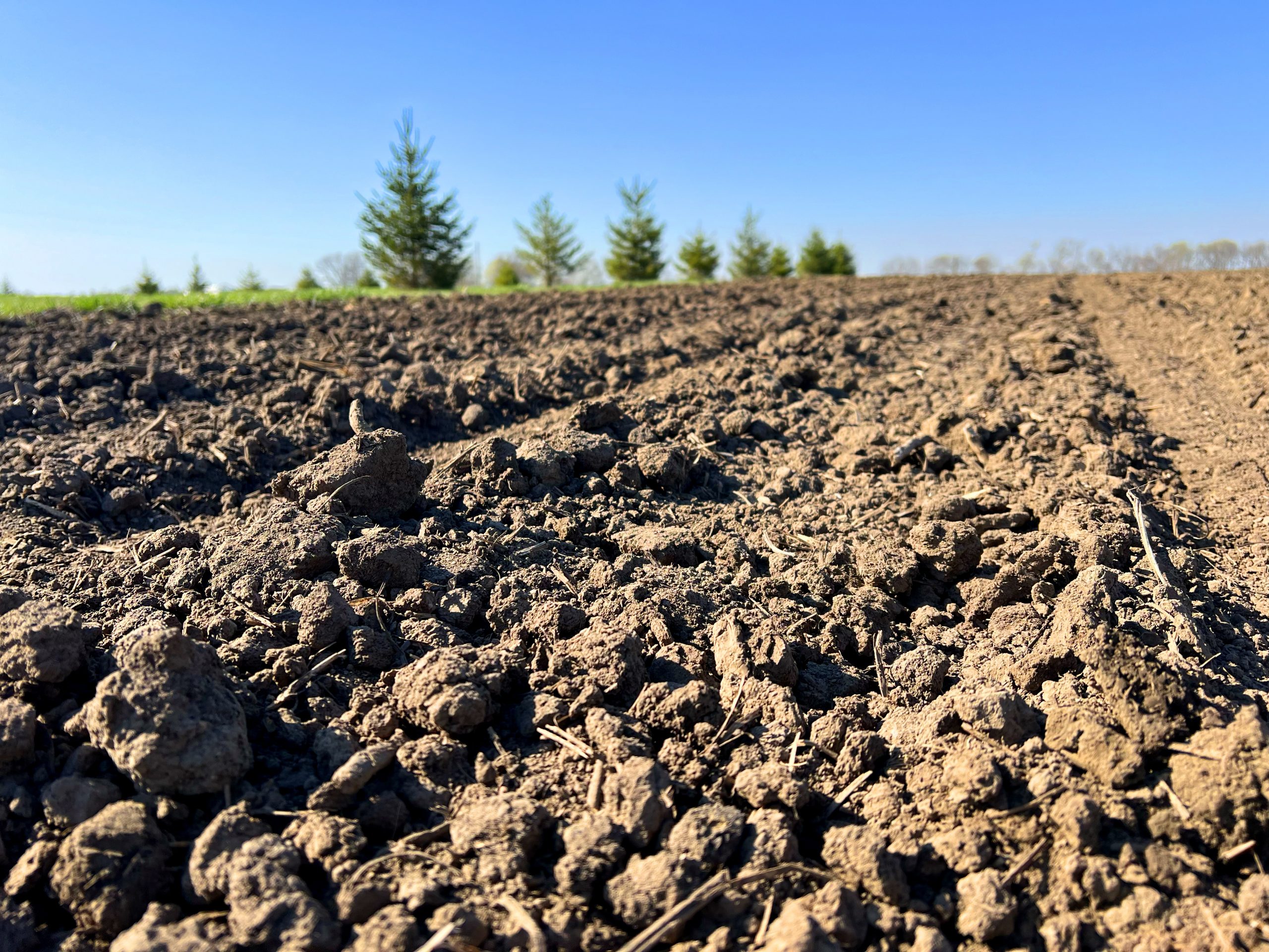 Soil Health Series: The Crucial Role of Soil Health and Testing for ...