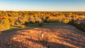 warm-season CRP switchgrass bluestem native grasses bedding cover